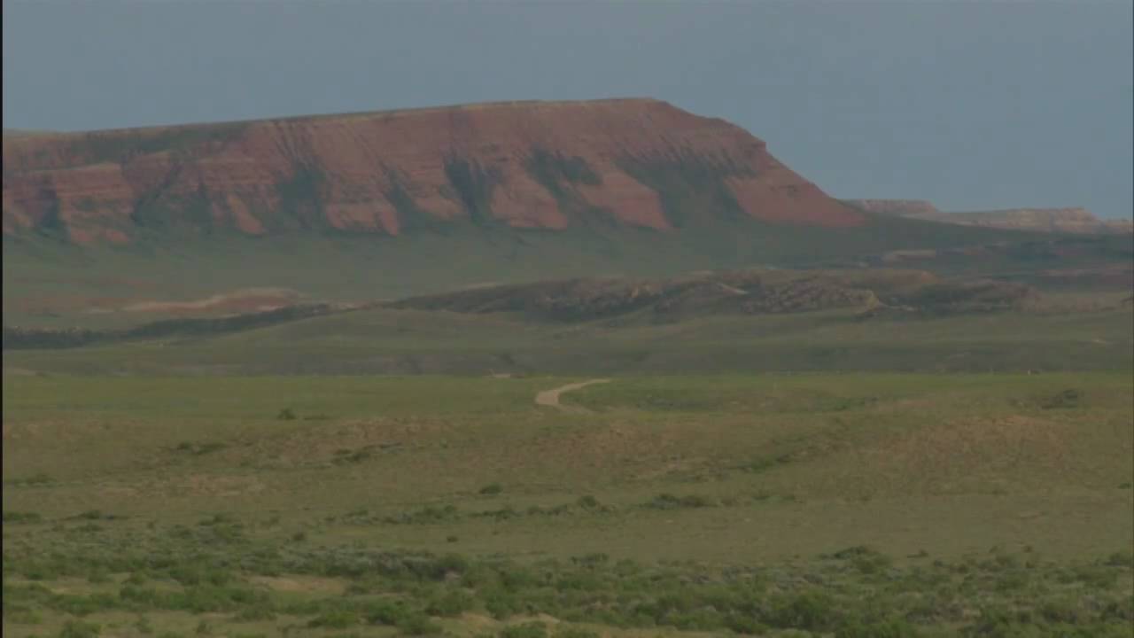 Audubon Wyoming BioBlitz Event, Supported by TogetherGreen
