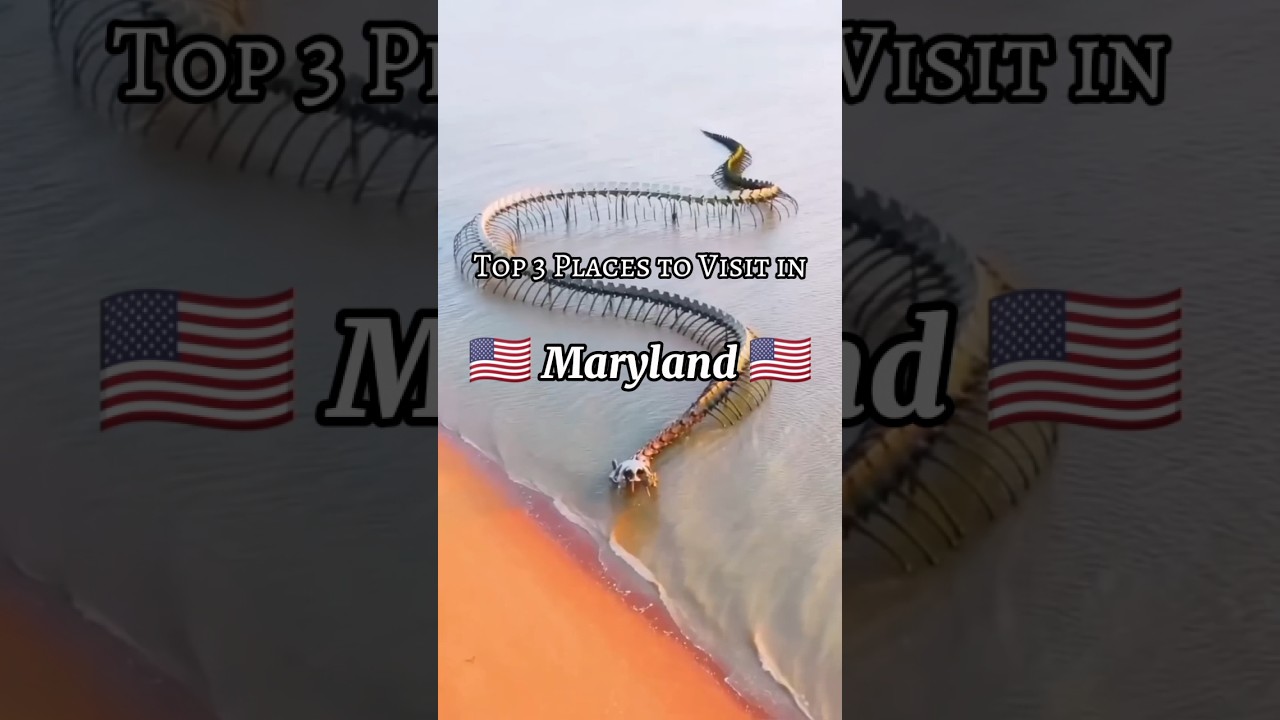 Top 3 Places to visit in Maryland,USA🇺🇸 || #ytshorts #baltimore #maryland
