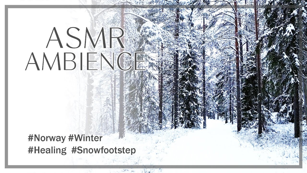 Winter walking in a snow forest crunching snow sound for 1 hour [ ASMR 눈 내리는 노르웨이 깊은 숲속 ]