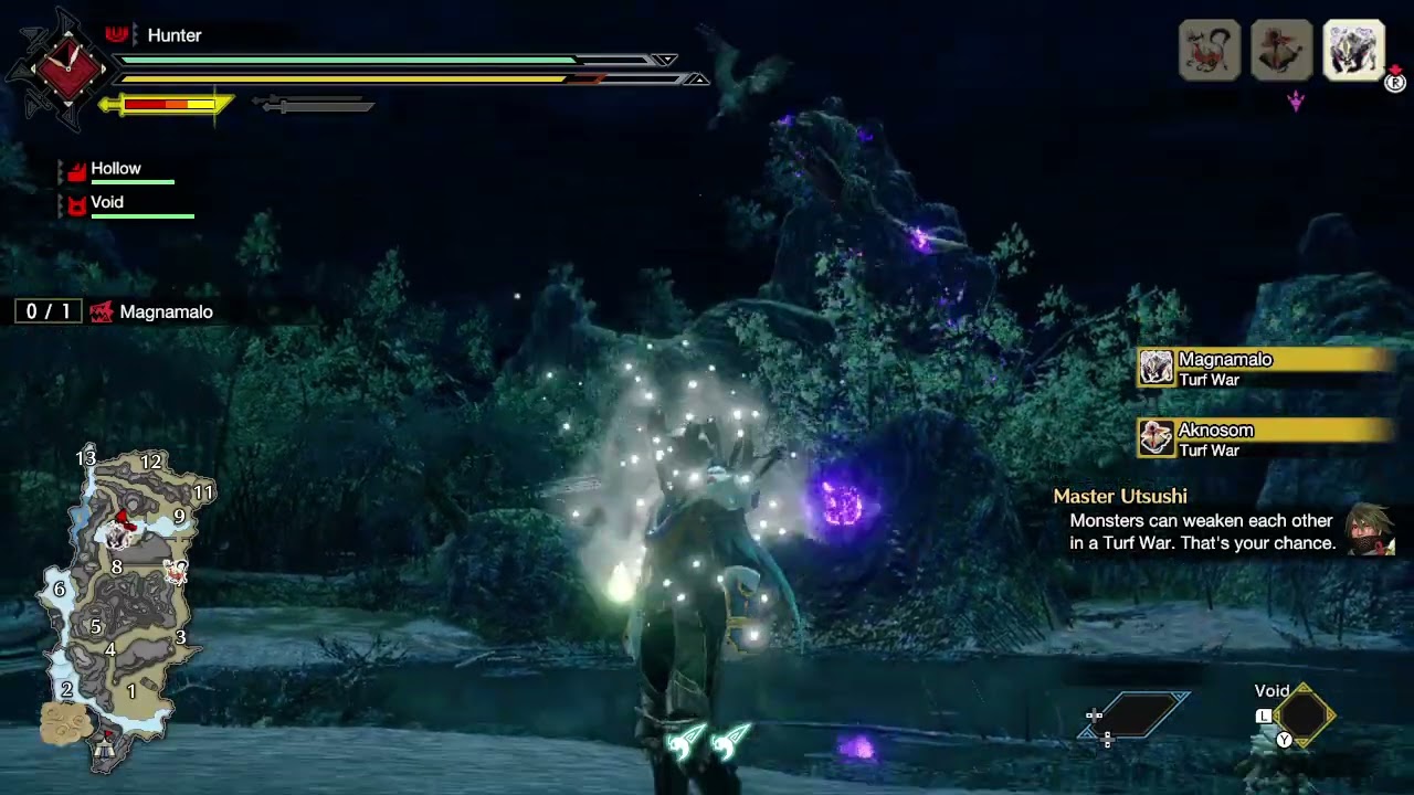 Magnamalo VS. Aknosom Turf War