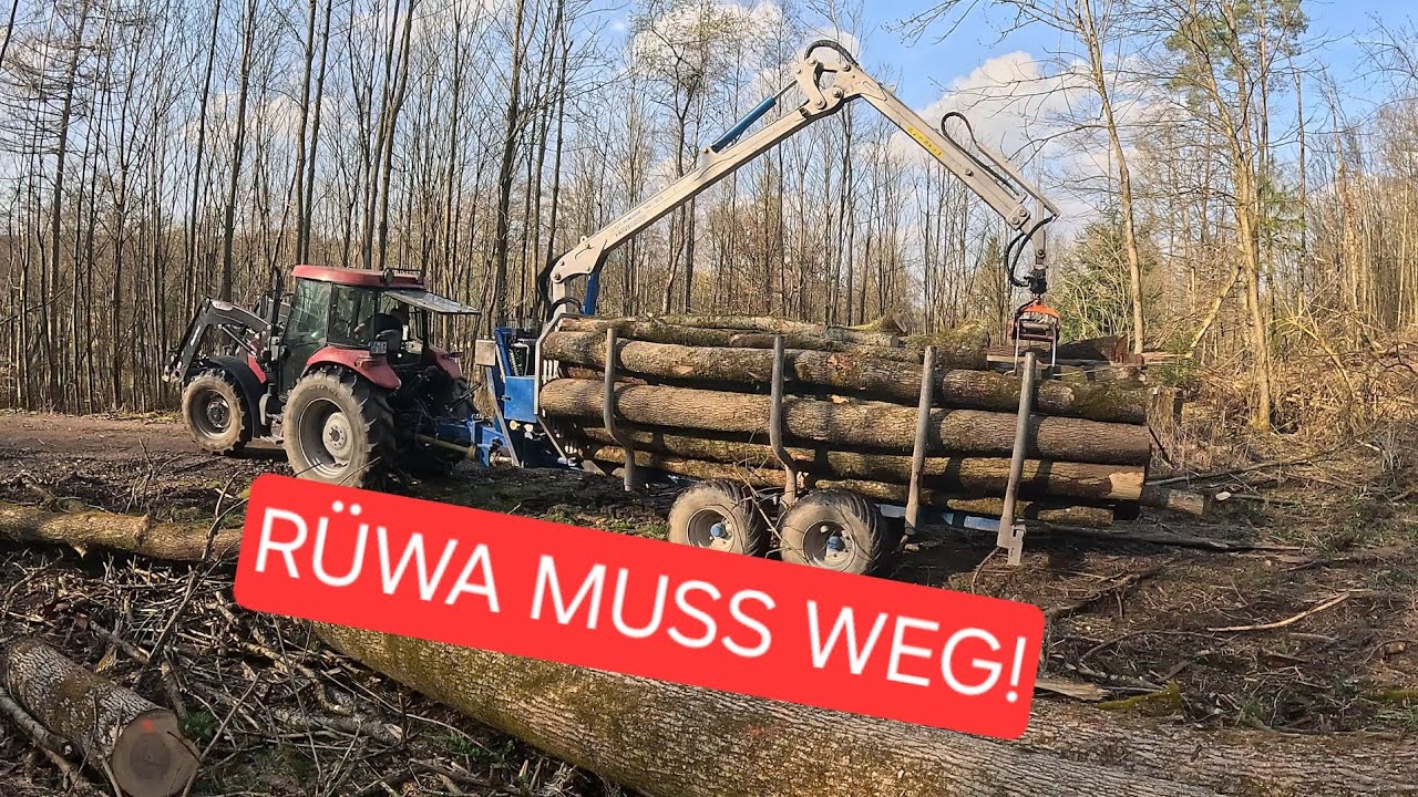 Holz holen im Bestand – Rückewagen muss leider weg