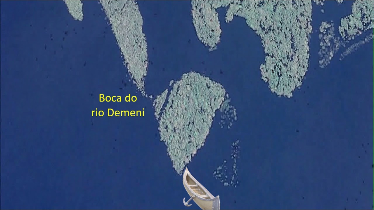 Expedi&ccedil;&atilde;o Rio Negro: 2004