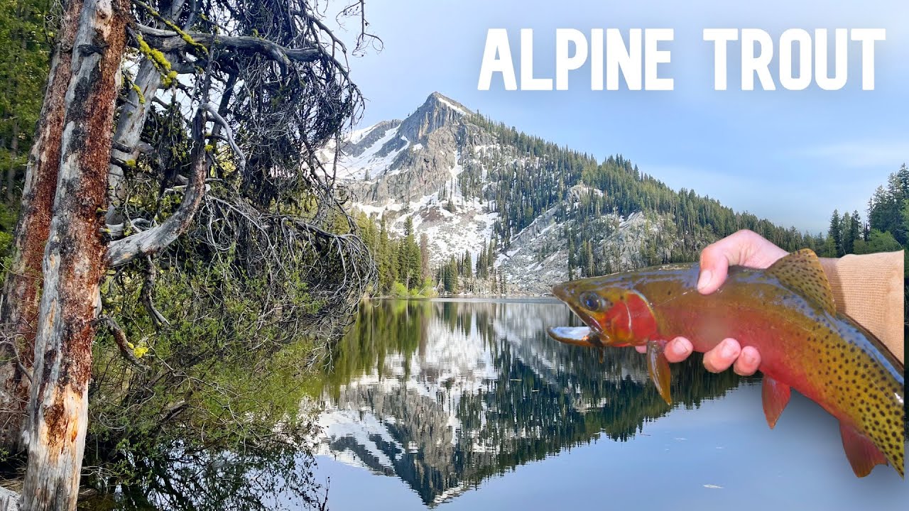 72 Hours in Idaho’s Backcountry — Fly Fishing for Alpine Cutthroat