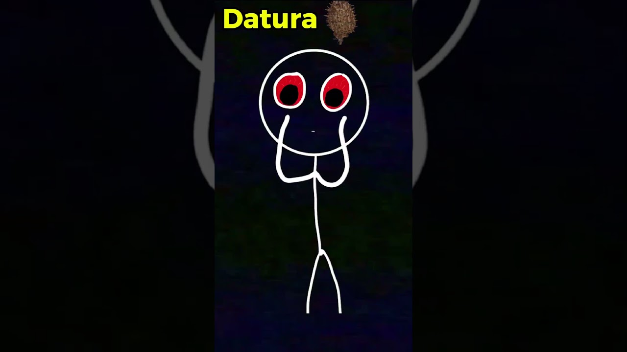 Crazy and Obscure Substances: Datura