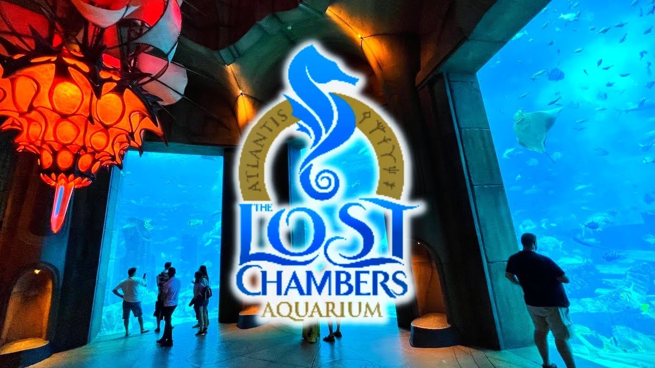 Lost Chambers Aquarium Atlantis Dubai Walkthrough Tour