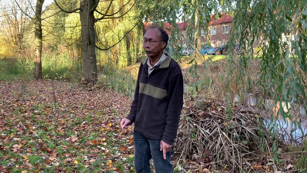Voedselbos Albatrosstraat
