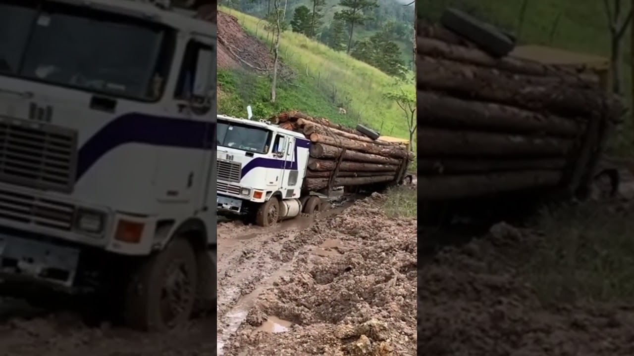 Logging truck vs dangerous road #trailer #viral #truckdriver