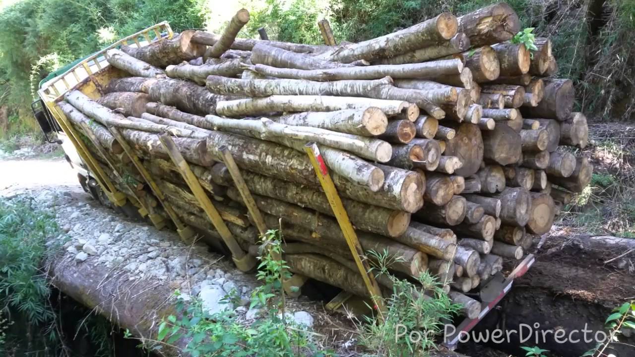 Camiones forestales 
