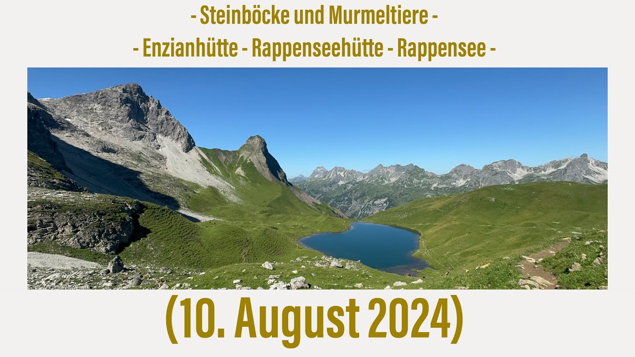 Oberstdorf-Rappenalptal: Großer Rappensee mit Steinböcken und Murmeltieren (10. August 2024)￼