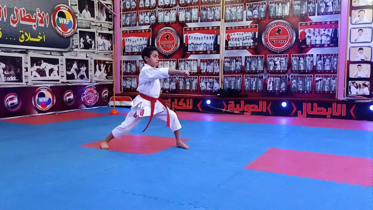 أساسيات الحزام الأزرق & The basics of the blue belt