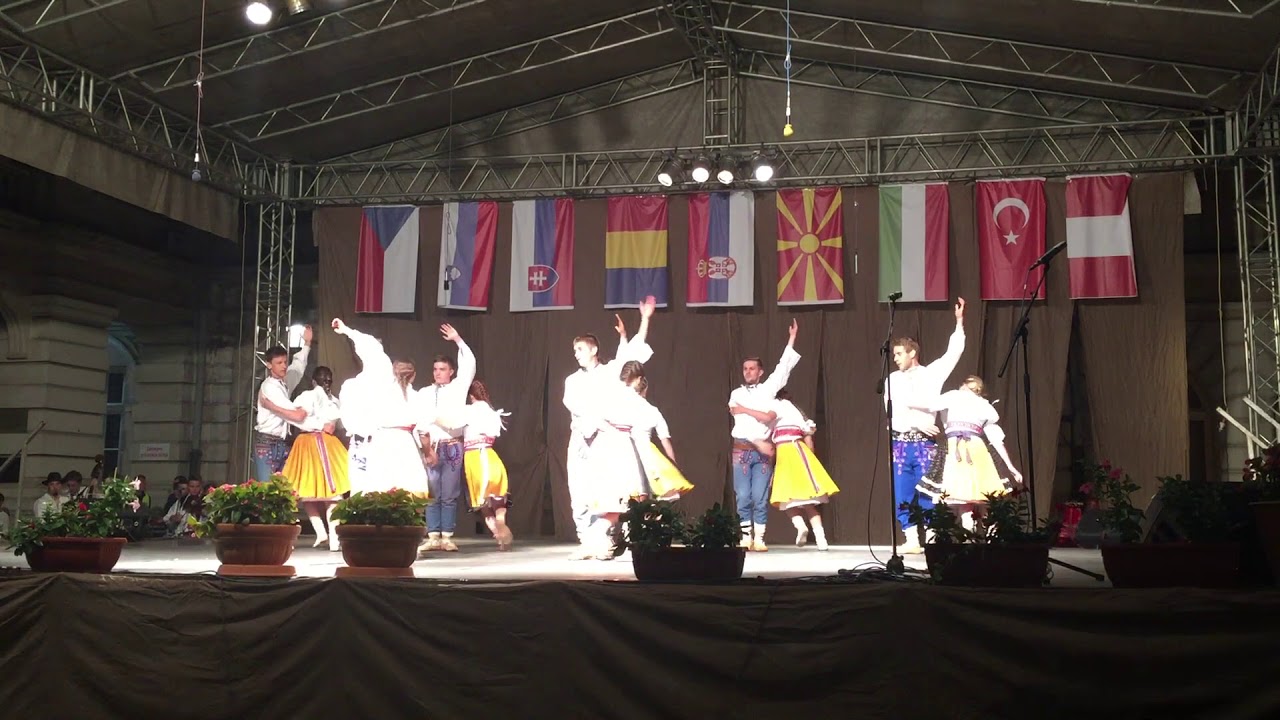 Kužełovjan - straňanské sedlcké 