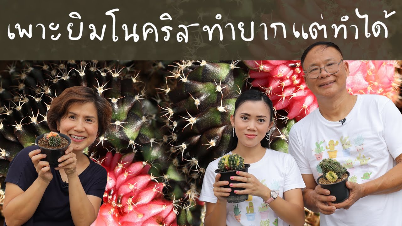 เพาะให้ได้ยิมโนคริส ทำยากแต่ทำได้ | Cactus Journey EP.103
