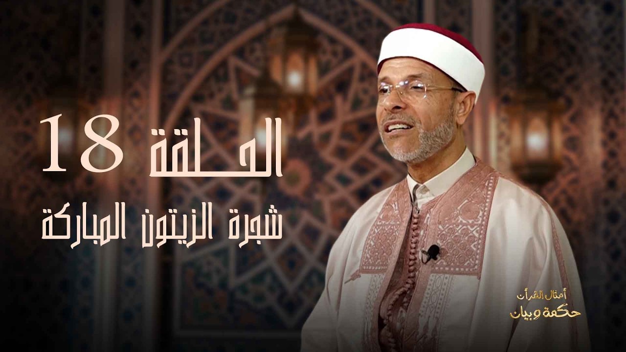 أمثال قرانية _امثال عن شجرة الزيتون المباركة _الحلقة 18