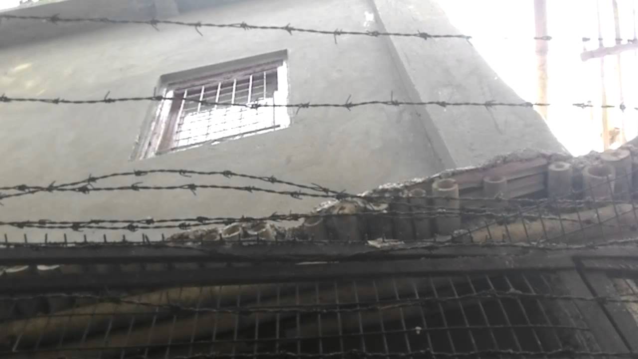 Innovative Bamboo Building at 171 MP Flats, South Avenue, New Delhi
