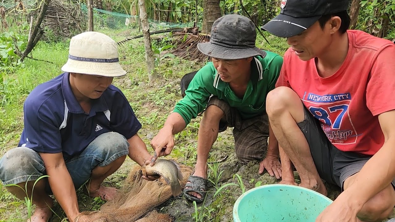 Khởi Đầu Một Ngày Mới Là Anh Em Ra Vườn Chài Cá Không Ngờ Trúng Đậm Bầy Cá To | TKQ & Family T1505