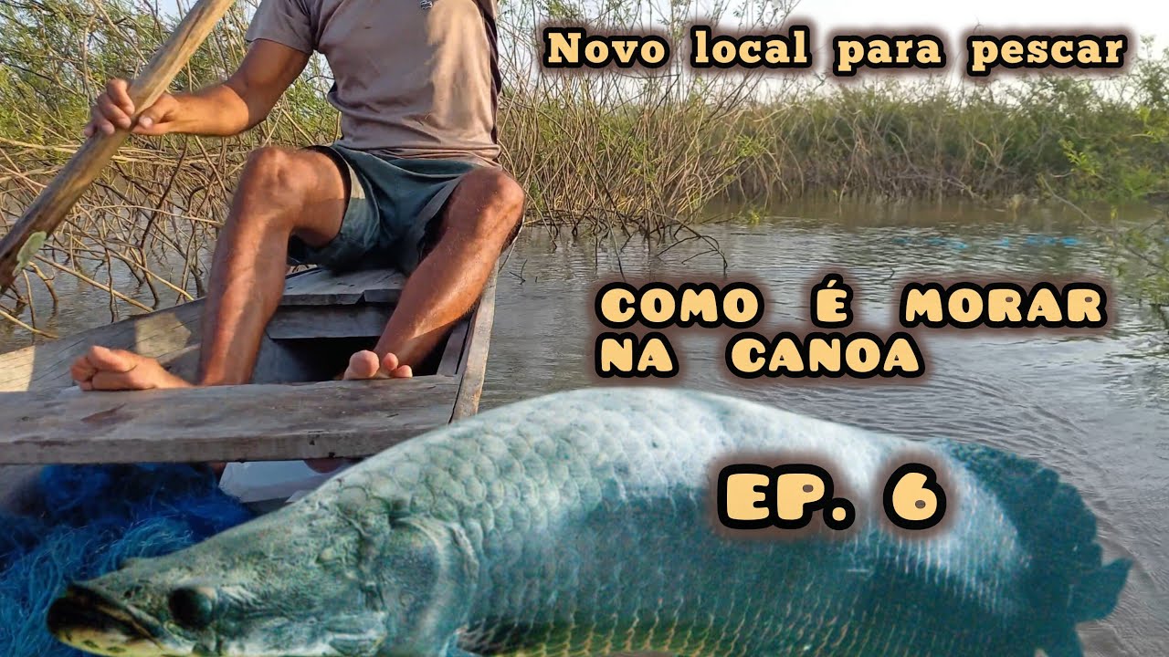 EP. 6,  COMO  É  MORAR  NA  CANOA - novo local para pescar