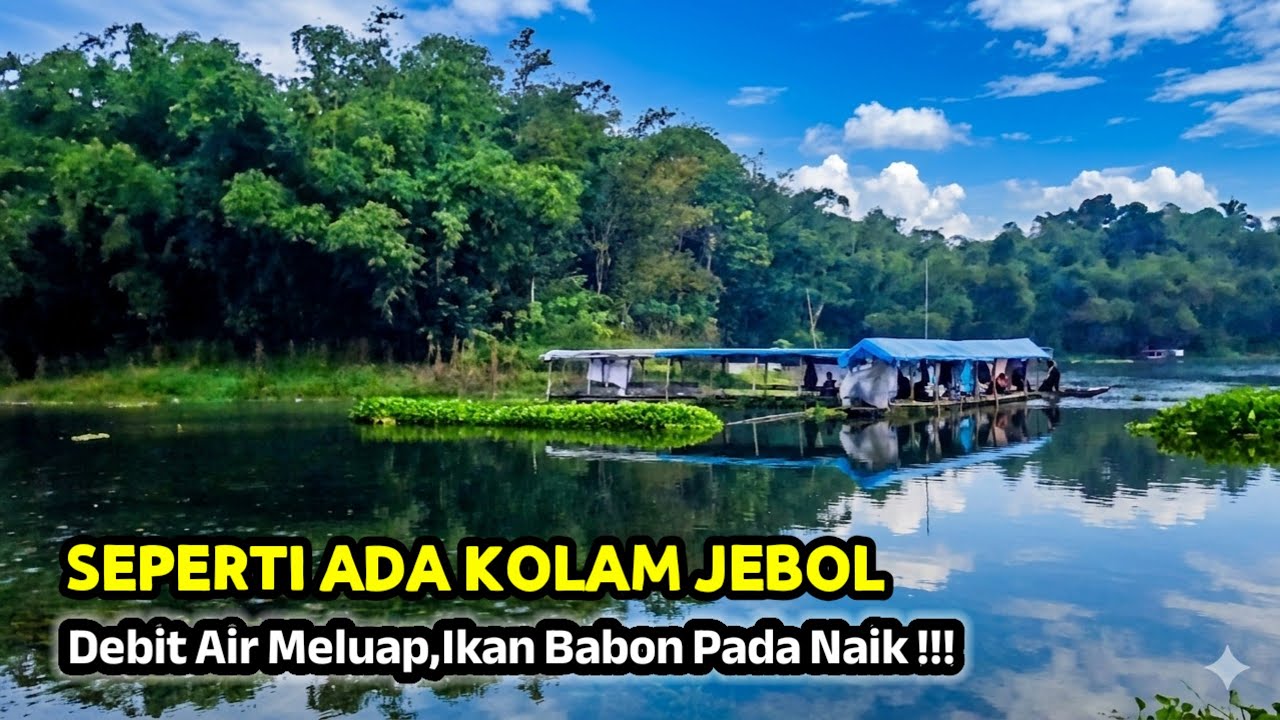 SEMUA KEBAGIAN STRIKE !!! IKAN NYA BESAR-BESAR MESKI DEBIT AIRNYA NAIK || mancing mania