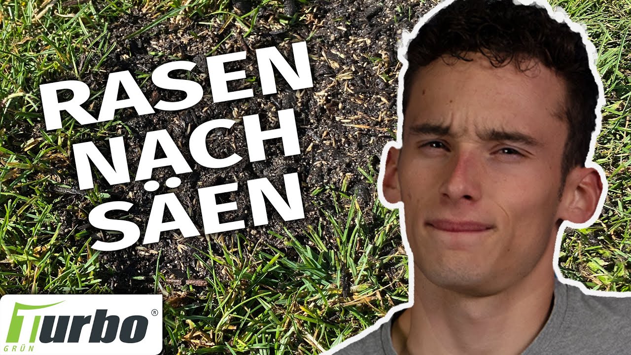 🔥🌱 Rasen nachs&auml;en Fr&uuml;hjahr | (Schritt f&uuml;r Schritt) | Turbogr&uuml;n