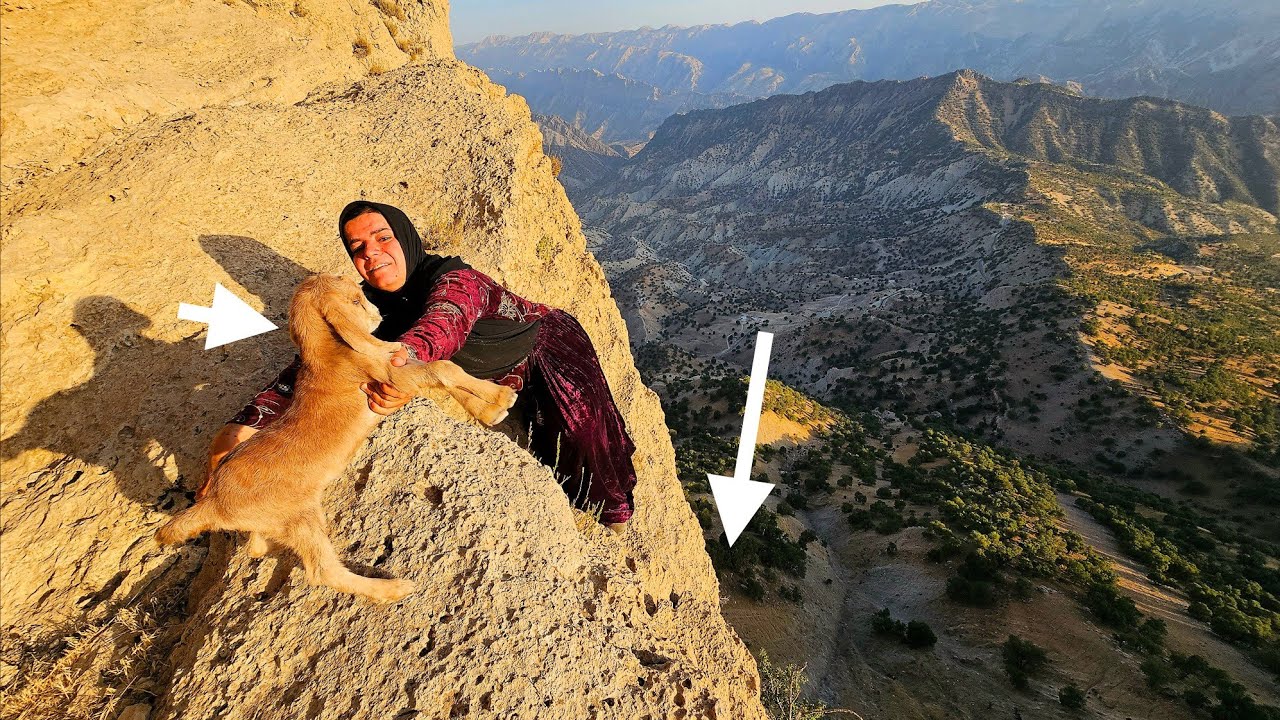 Kulthum's tough day in the mountains: 🐐👶 Saving a newborn baby goat on dangerous cliffs! 🧗‍♀️🕊️