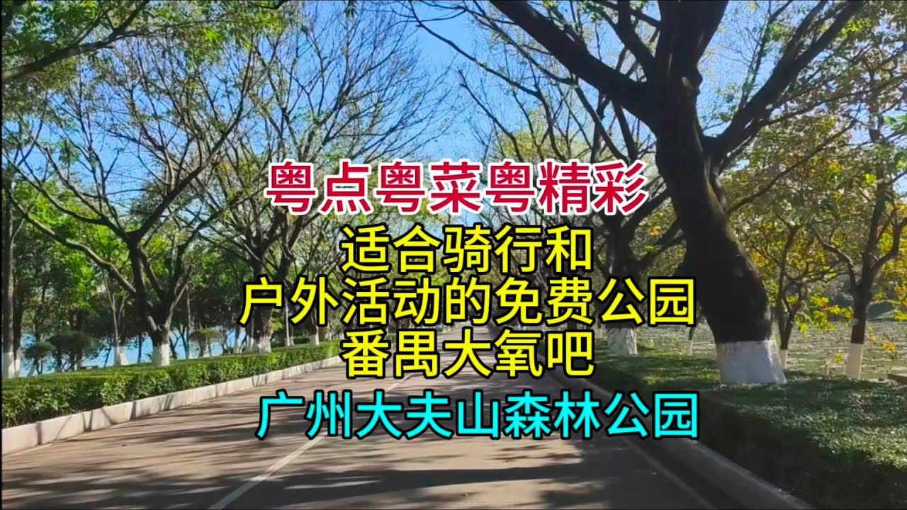 适合骑行和户外活动的免费公园，番禺大氧吧，广州大夫山森林公园