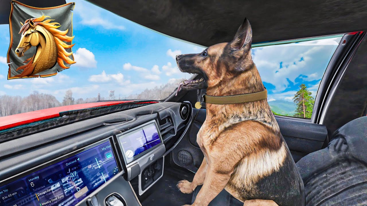 Ranch Simulator - ILS ONT AJOUTÉ LES CHATS ET CHIENS