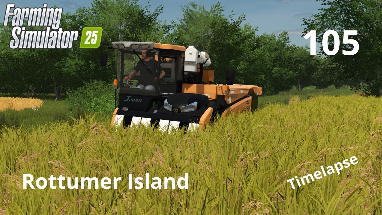 HARVESTING A LOT OF GRAIN AND RICE | ROTTUMER ISLAND #105 | FS25