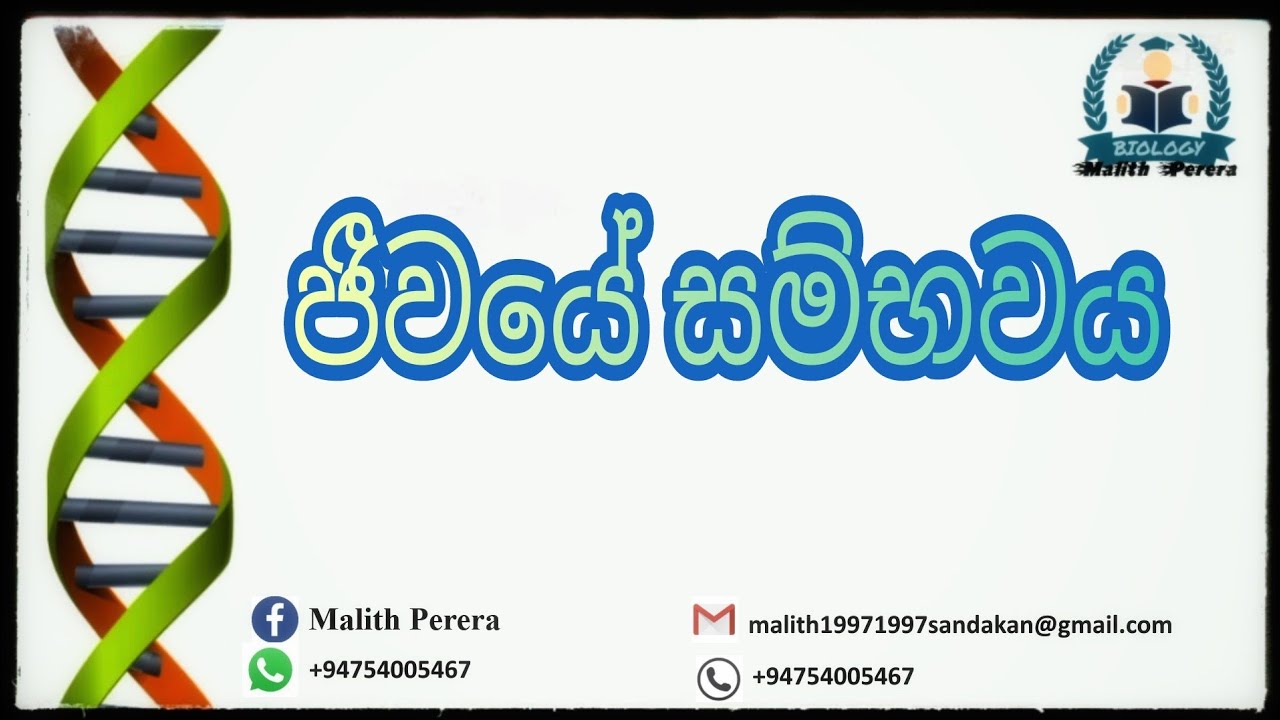 Evolution of life on earth | AL Biology Sinhala Lesson |
