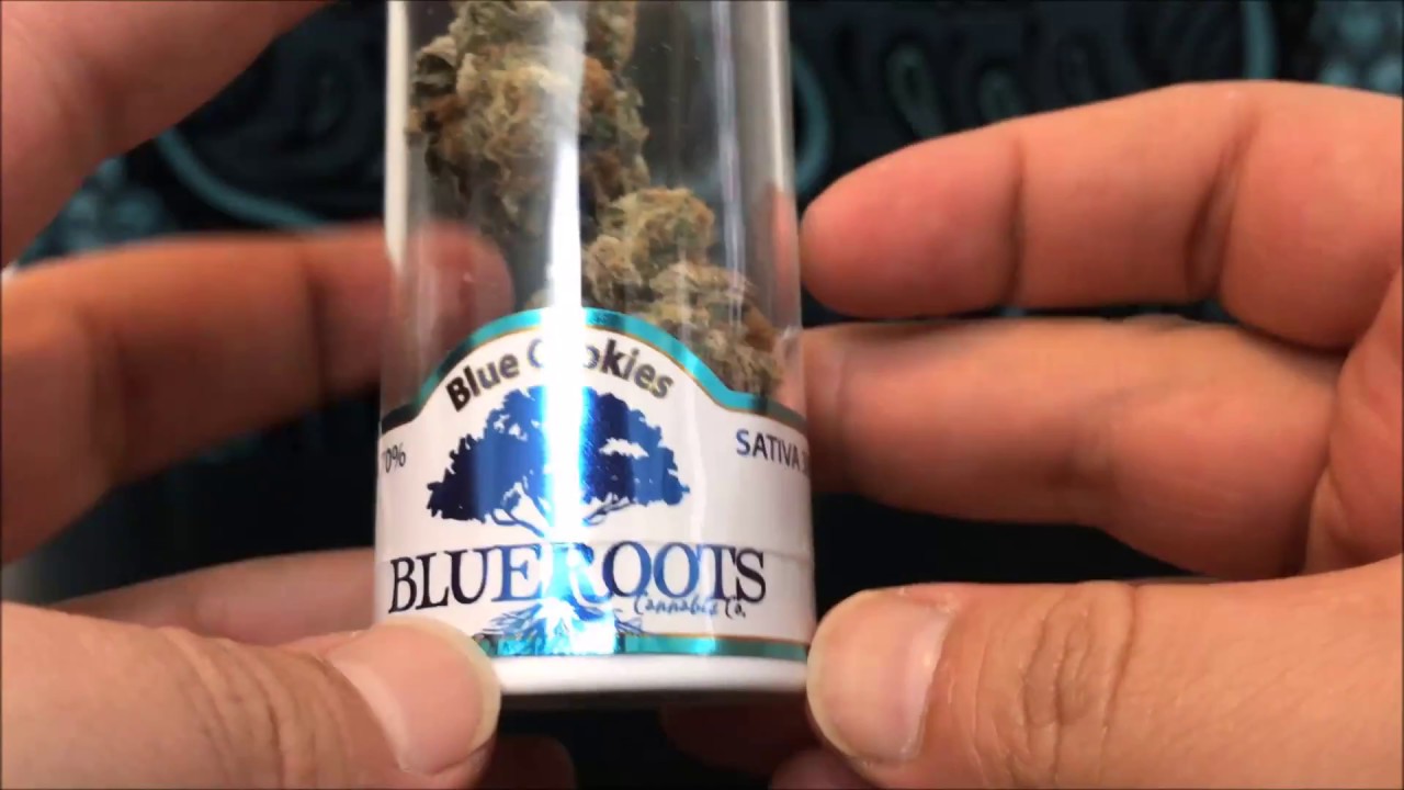 Blue Cookies By Blue Roots Recreational Cannabis Review