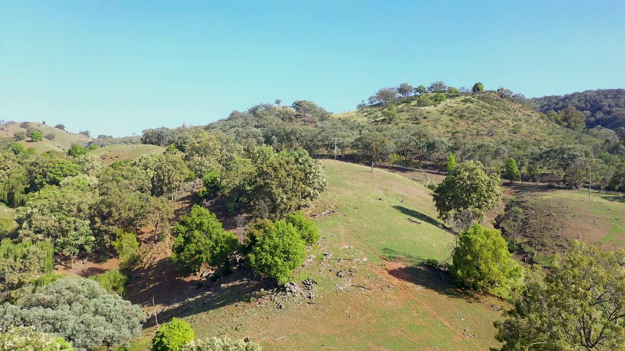 Mudgee Hills NSW Red-edit