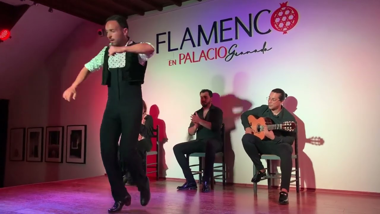 Bailaor: David C&oacute;rdoba &bull; Tablao Flamenco en Palacio &bull; Granada