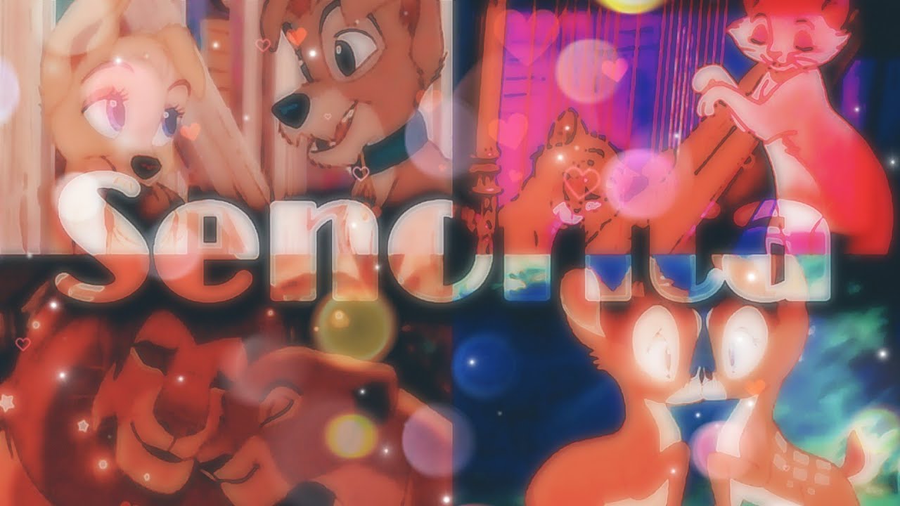Animash ~ Senorita