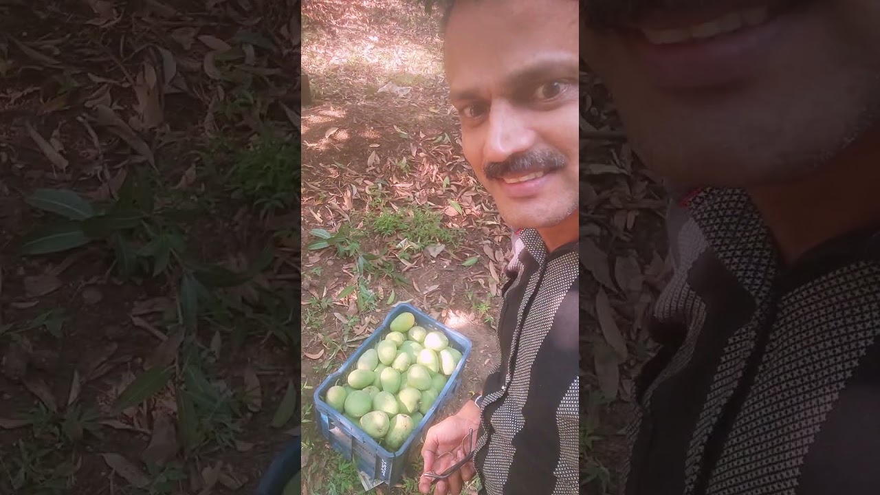മംഗോസിറ്റി എന്ന് വിളിക്കുന്ന മുതലമട 