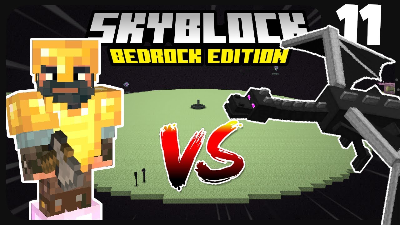 SB EP11: ENDER DRAGON FIGHT IN SKYBLOCK!