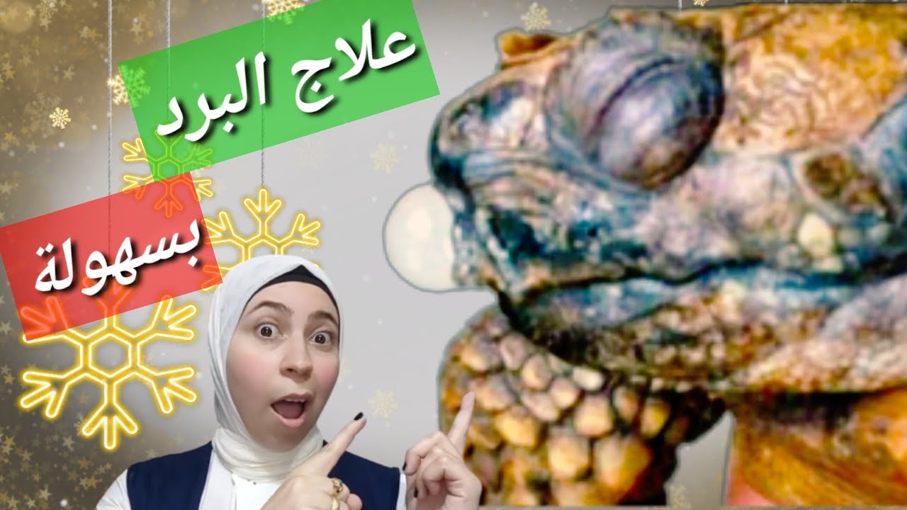 علاج البرد عند السلاحف