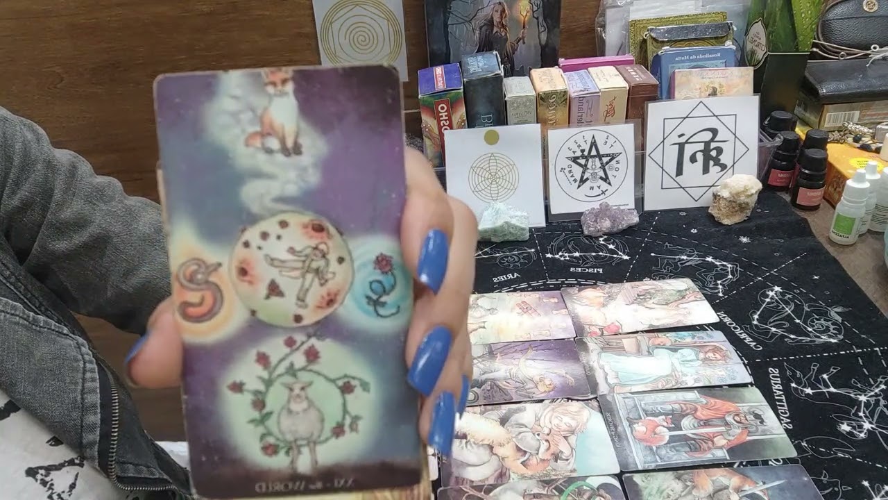 Peixes e sua conexão de alma🐬 Me afastei para não doer mais , mas sinto muita saudade🥺🫂✨🙏