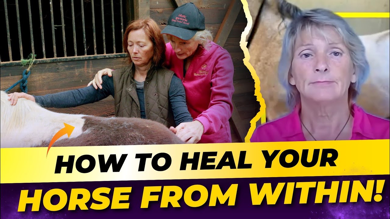 Healing Horses Inside and Out || Emotion Code Insights || Holistic Horseworks