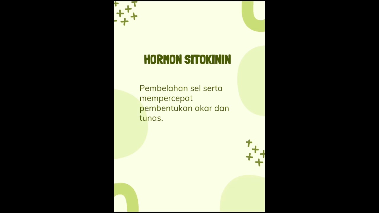 Hormon Sitokinin || Arif Sucahyono