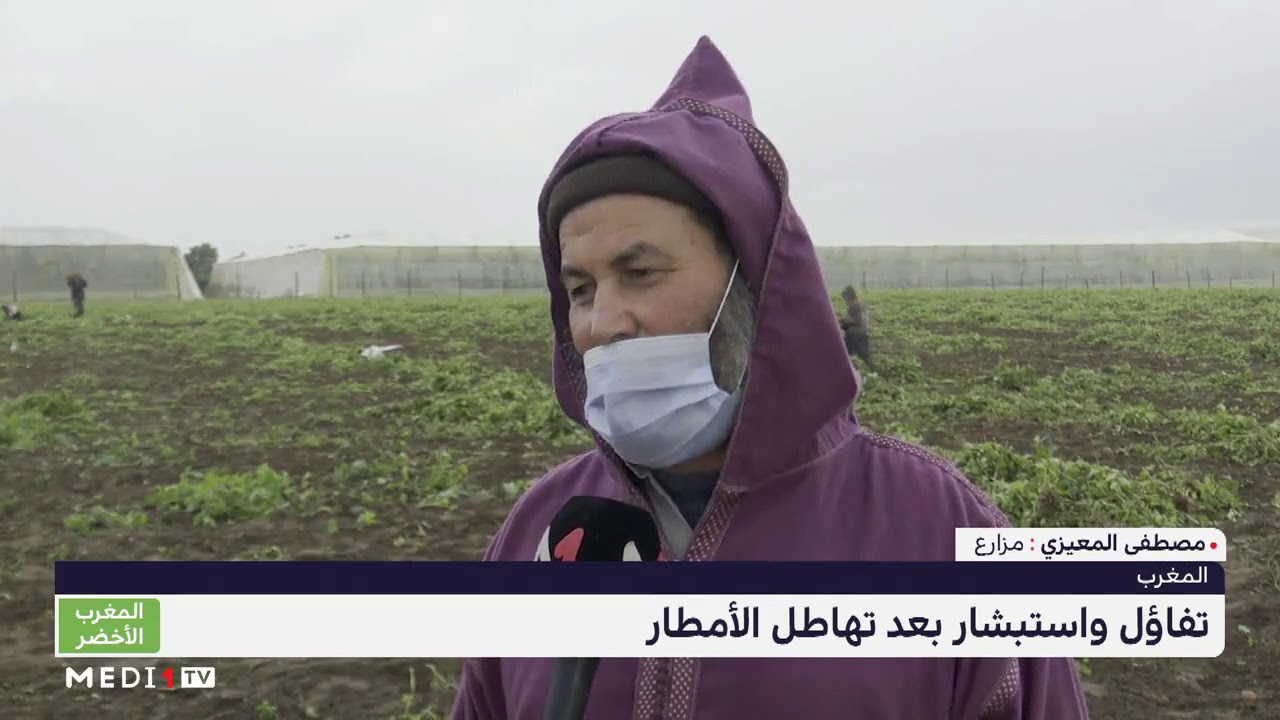 المغرب الأخضر .. تفاؤل واستبشار لدى الفلاحين بعد التساقطات المطرية