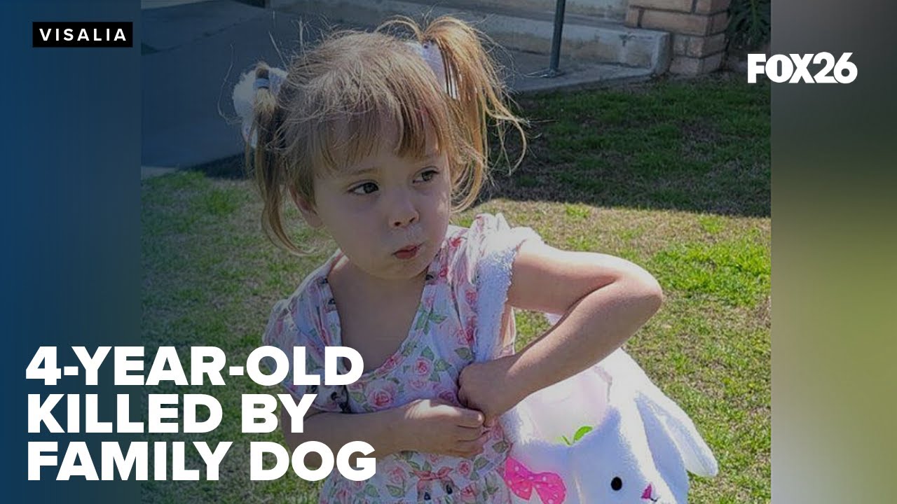 Family mourns after 4-year-old girl killed by family dog in backyard