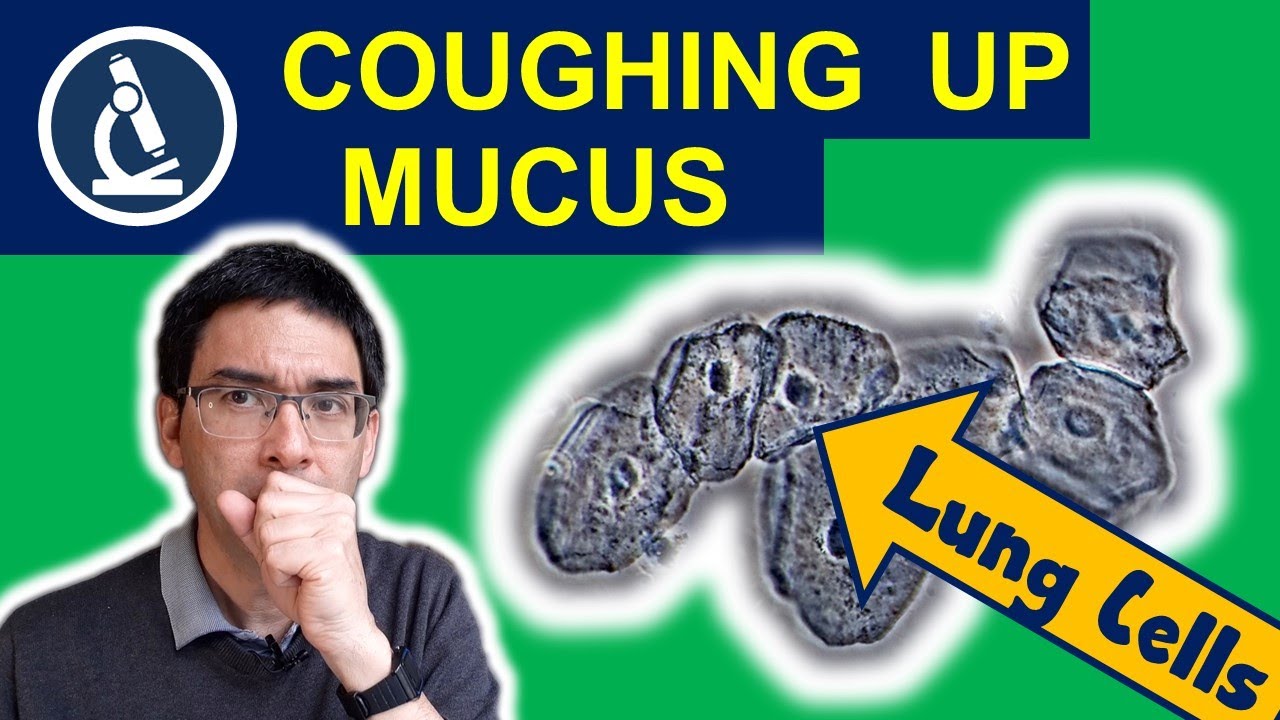 An Up-Close Look at the Mucus from the Lungs Under the Microscope 🔬 192