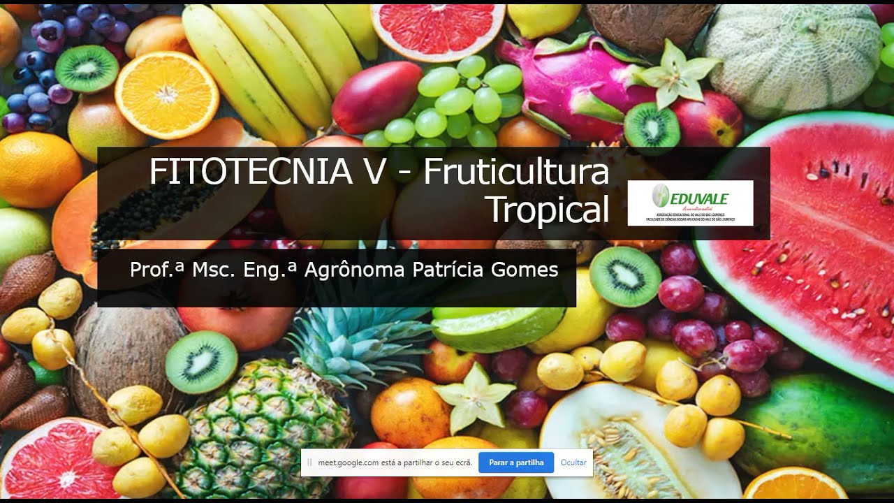 Aula 02 Fruticultura Tropical Introdução