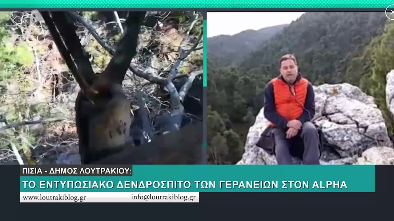 Το εντυπωσιακό δενδρόσπιτο των Γερανείων στον Alpha