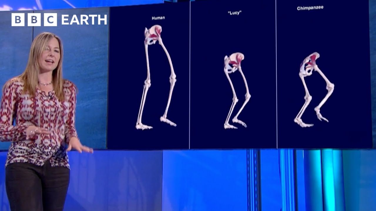 The Science Behind How Humans Walk | Prehistoric Autopsy | BBC Earth Science