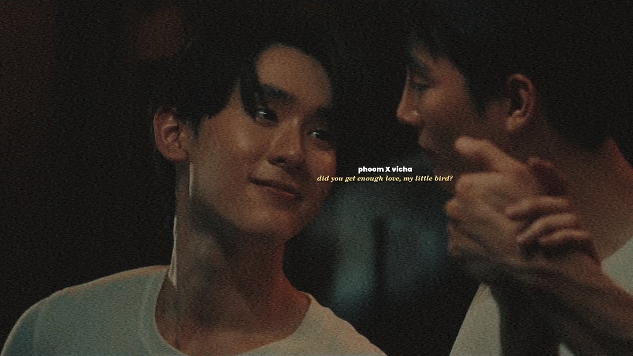 phoom ✘ vicha | did you get enough love, my little bird? [fmv]