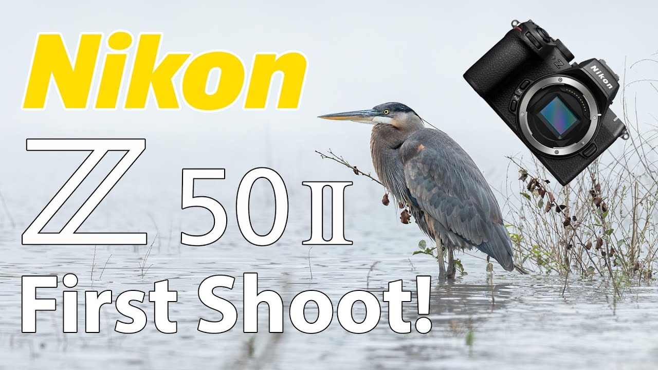Nikon Z50 II Первая фотосъемка птиц и пейзажей Объективы 180-600 и 16-50!