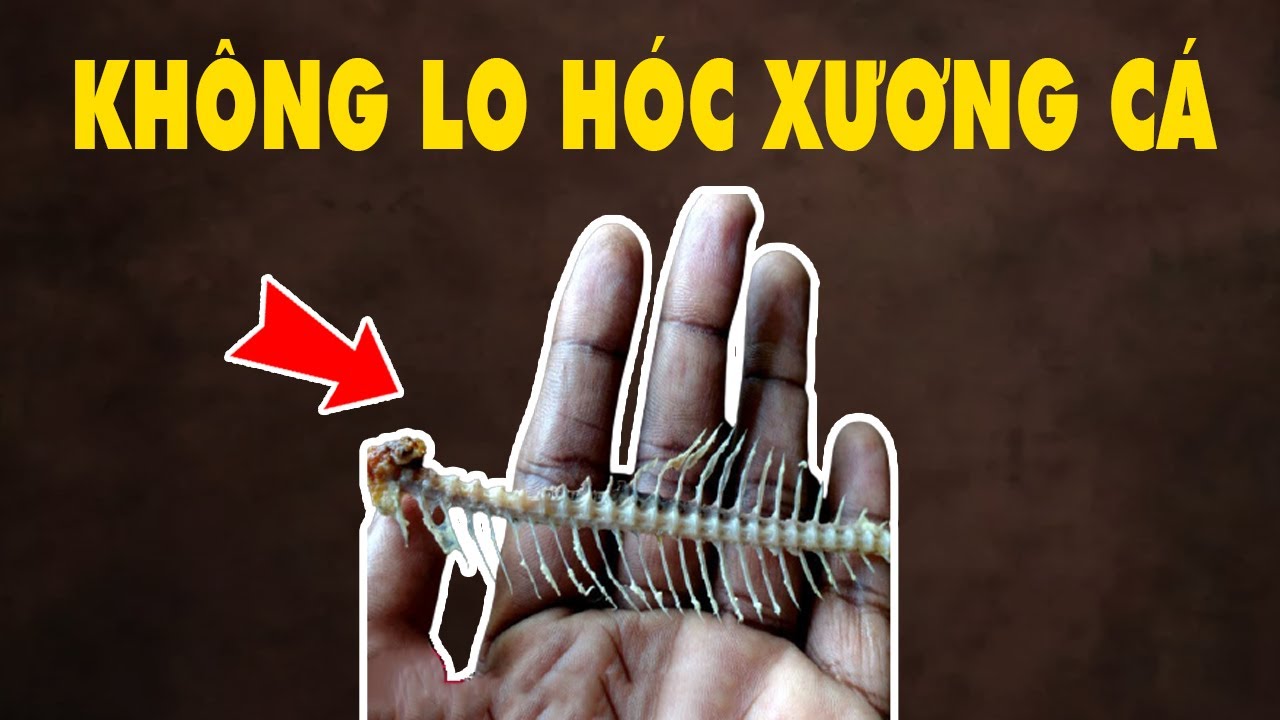 Chỉ Cần Biết Những Mẹo Này Thì Cả Đời Không Bao Giờ Lo Hóc Xương Cá Nữa | HYT3