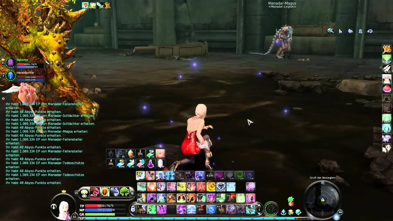 Aion schnelles Leveln von 53-65 BT NM Solo
