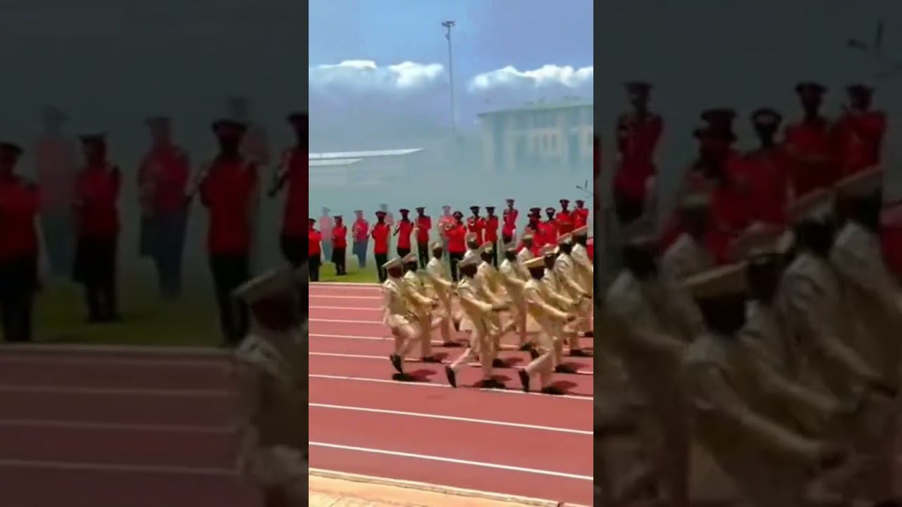 #somalitiktok #duet #dirisle #camel #somalia #army #somalicommunity #animals #darisle #love