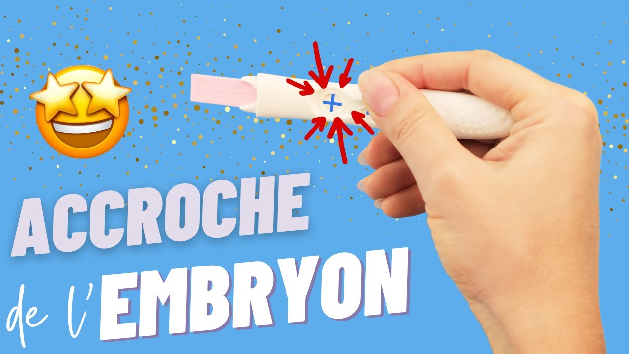 Comment soutenir l'IMPLANTATION d'un EMBRYON ?