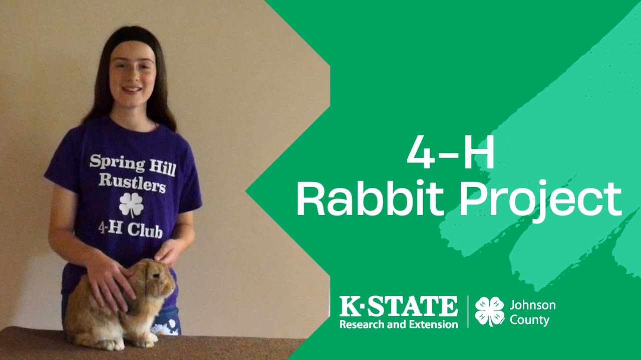 4-H Rabbit Project